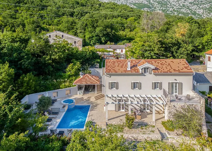 Nature Frangipane With Pool - Happy Villa Drivenik