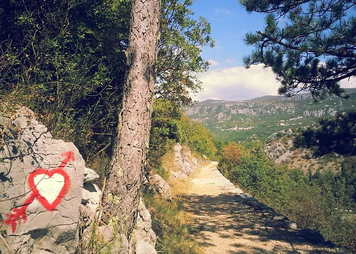 Willa Nature Frangipane With Pool - Happy Drivenik
